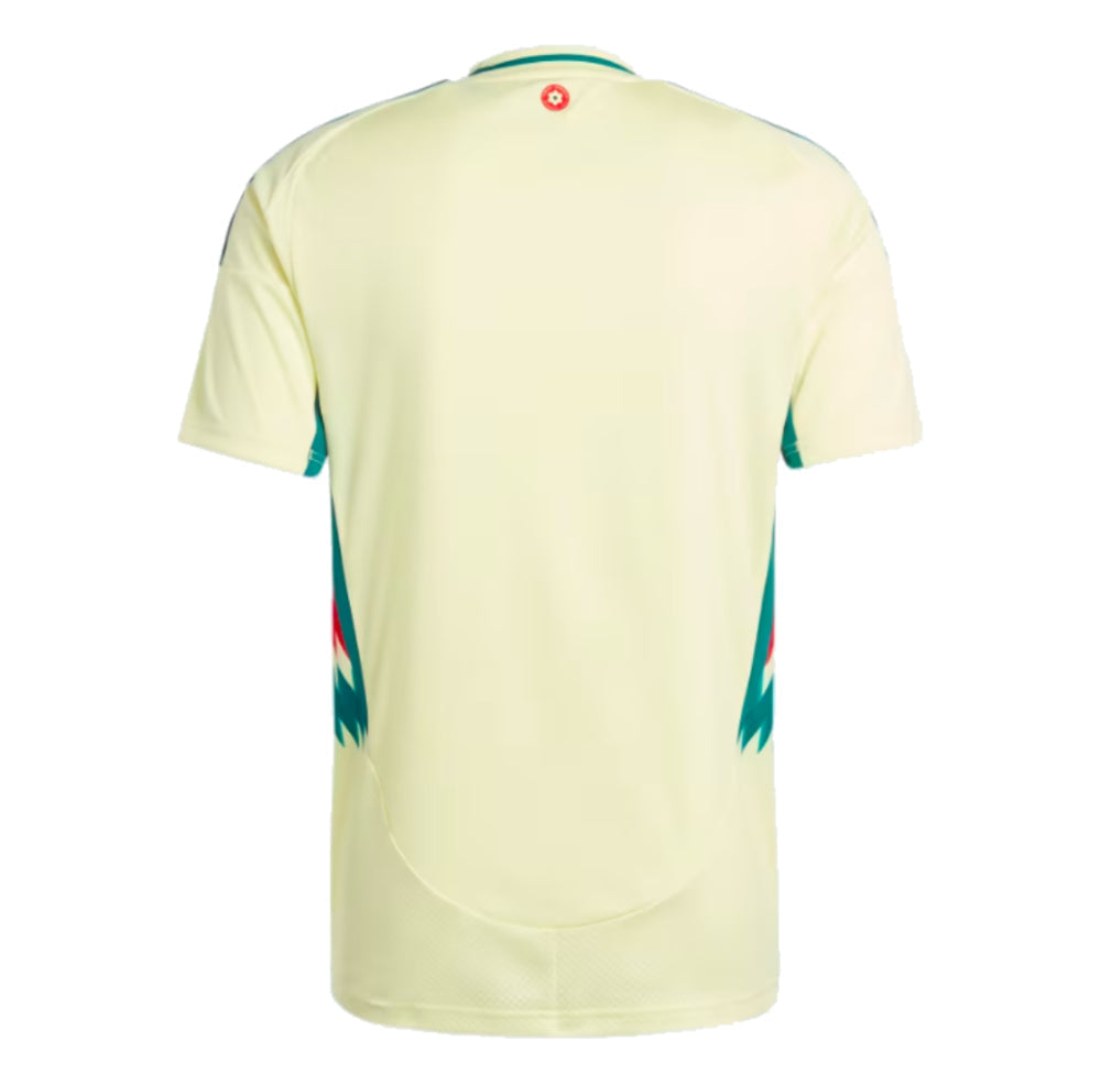 Wales uitshirt 2024-2025