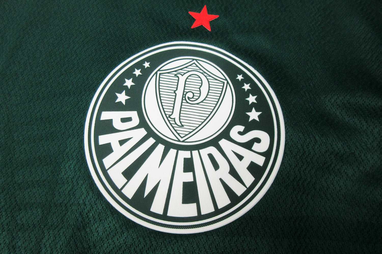 22/23 Palmeiras Home kit - Player version