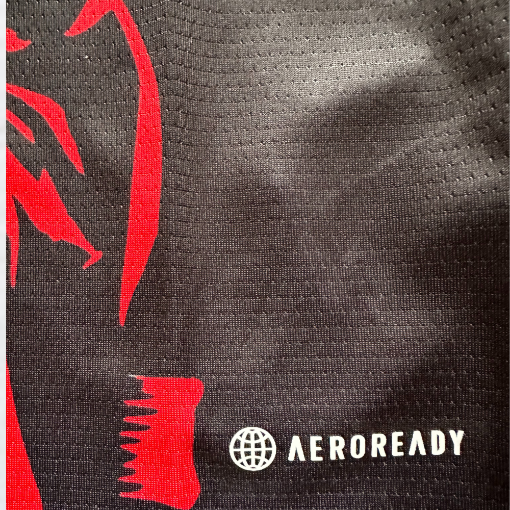 JAPAN 2024 'ANIME LEGEND DARKNESS EDITION' SHIRT