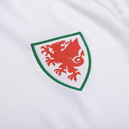 Wales Auswärtstrikot Weltmeisterschaft 2022