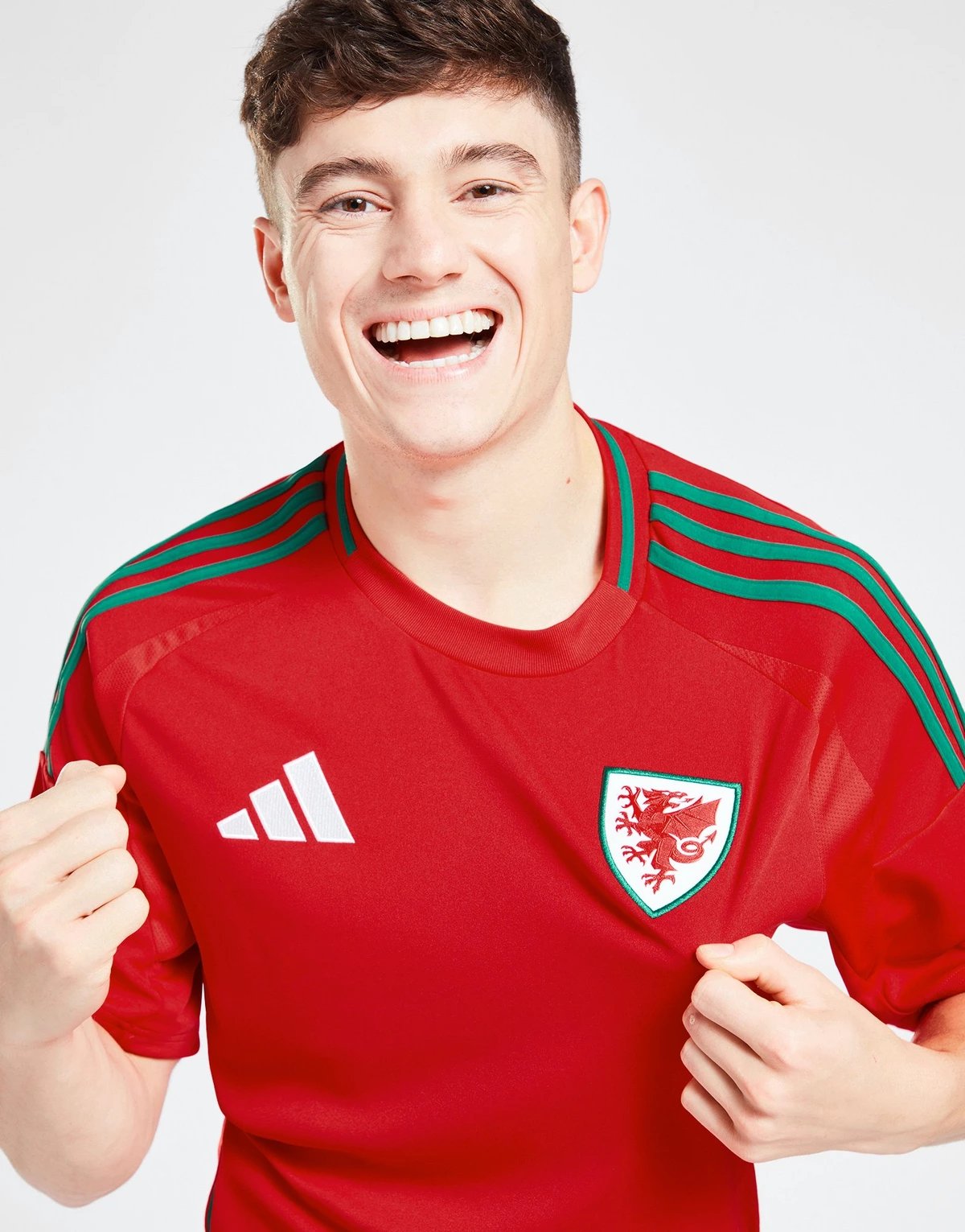 Wales 2024 Heimtrikot für Herren 