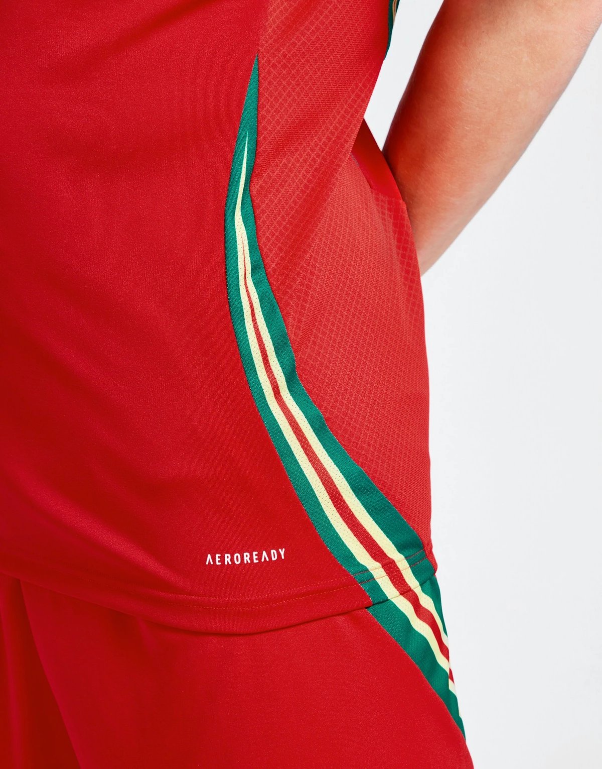 Wales 2024 Heimtrikot für Herren 