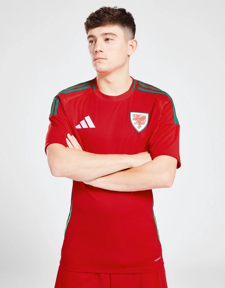 Wales 2024 Heimtrikot für Herren 